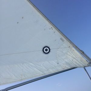 Meet your Posher, Ava